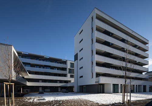 Strubergasse Baufeld I - LC4